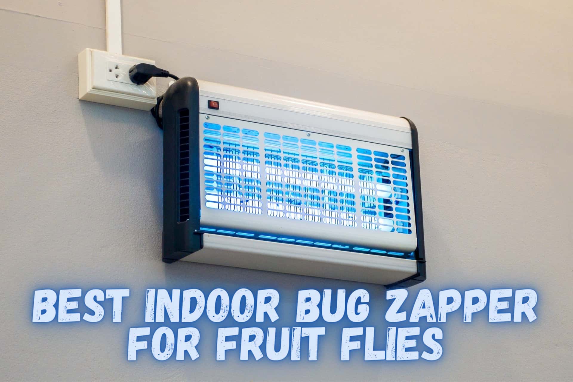 best indoor bug zapper for fruit flies